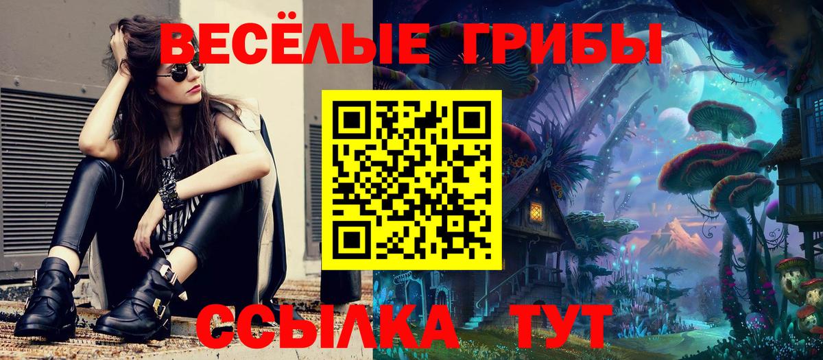 Галлюциногенные грибы мицелий Краснодар